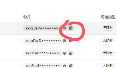 复制 API 密钥
